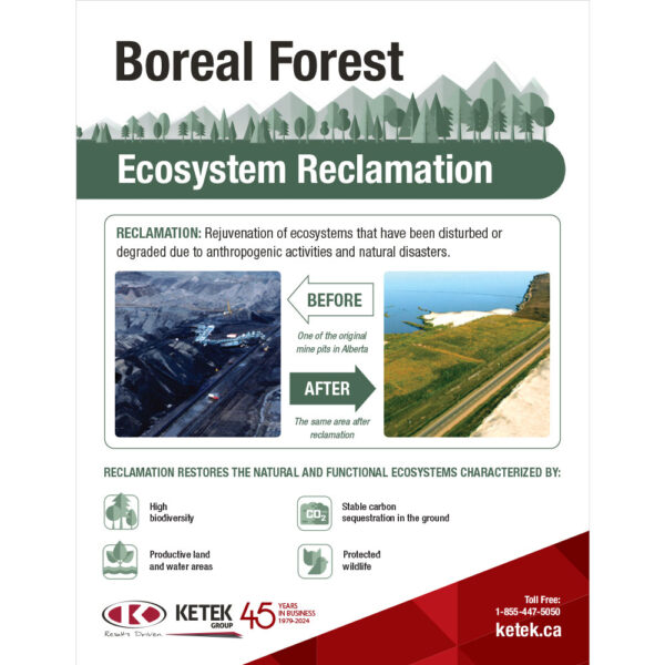 Ketek-Group-Boreal-Forest-A
